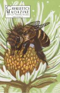 Cavalletto Vol. 3 No. 1